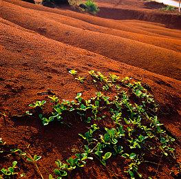 《最终幻想》35周年纪念网站上线 或将有更多新作公布